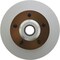 Centric Parts Gcx Brake Rotor Fully Coated, 320.67009F 320.67009F - alternate 1